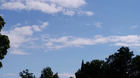 The movement of tree branches in the wind. Background blue sky. Stock Footage 158985287