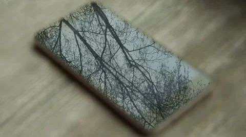 Movement of the trees reflected on the screen  Stock Footage 61846226
