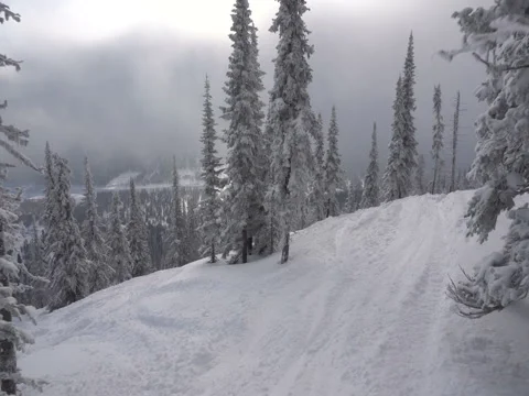 Movement of trees in the snow in the mountains around Stock Footage 70925847
