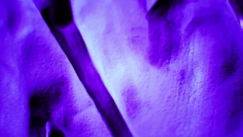 Movement of an ultraviolet lamp on the surface Stock Footage 135330971