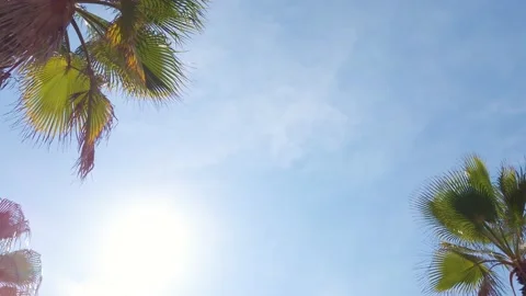 Movement, walking on a tropical beach. The point of looking up. Panorama of p 스톡 동영상 169993676
