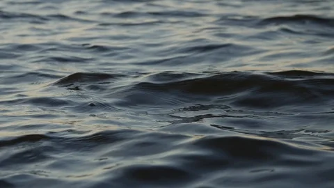 Movement of water. Amazing close-up of the texture of nature works ripples on Stock Footage 113976128