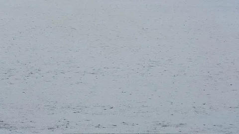 Movement of water during heavy rain Stock Footage 79613541