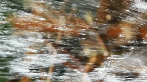 Movement of water Video stock 37403147