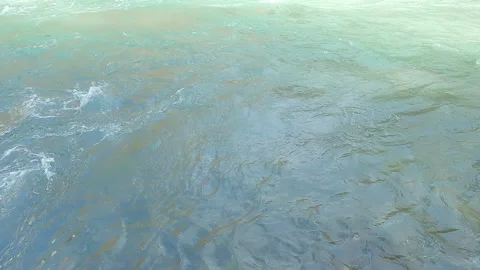 Movement of water in river close-up 動画素材 248364259