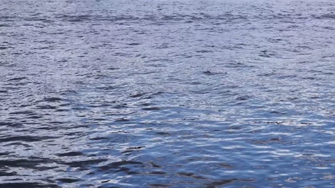 The movement of water in the river. Waves. Nature. Stock Footage 158166086