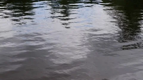 The movement of water in the river. Waves. Nature. Stock Footage 158734668