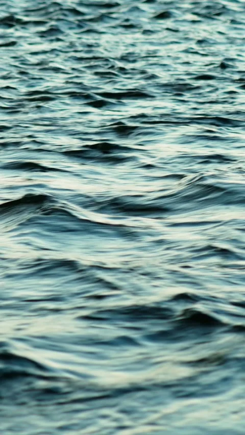The movement of a water stream in a mountain river. Close-up of the water. Vídeo Stock 331443542