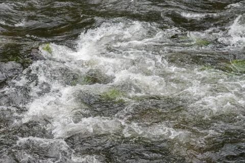 Movement of water surface close-up, background Foto stock