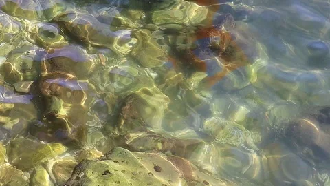 Movement of Water Surface Stock Footage 104650325