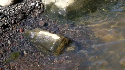 Movement of the water surface on the river bank Stock Footage 287291174