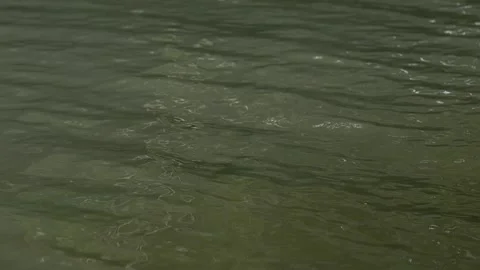 Movement of the water surface of a river Stock Footage 247924198