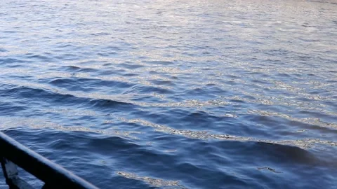 The movement of waves in the river. Stock Footage 155331703