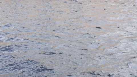 The movement of waves in the river. Suitable for backgrounds. Stock Footage 156079748