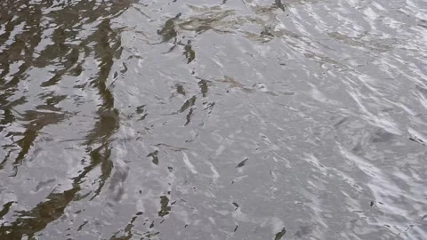 The movement of waves in the river. Suitable for backgrounds. Stock Footage 156341748