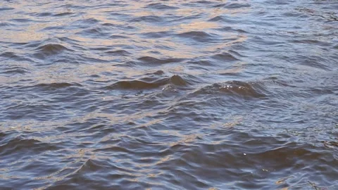 The movement of waves from the wind in rick. Stock Footage 154652435