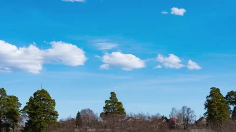 The movement of white clouds in the blue sky over the pine trees in early spring Stock Footage 147135446