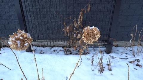 The Movement of Wind on Winter 스톡 동영상 127568006