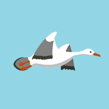 Movement of the wings in the flight of a bird 스톡 일러스트