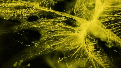 Movement of yellow paint on a black background. Color abstract animation Stock Footage 97666091