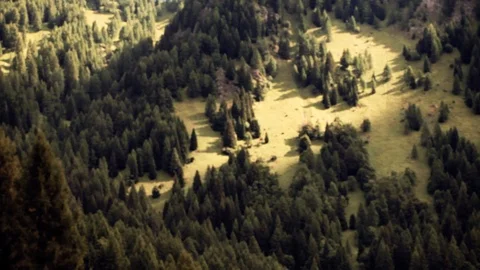 Movements of sunlight in the clearing Stock Footage 92018815