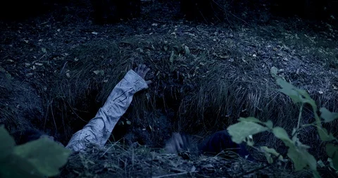 Movements of the walking dead Stock Footage 116877261
