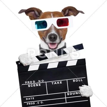 Movie clapper board 3d glasses dog Stock Illustration