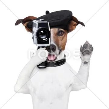 Movie director dog Stock Illustration