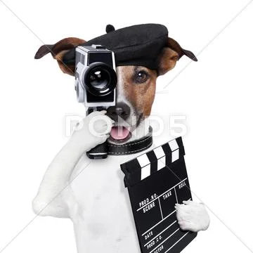 Movie director dog Stock Illustration