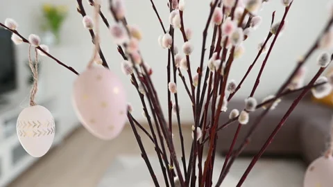 Moving 4K 60 fps of easter eggs on willow branches in spring time Stock-Footage 170674292