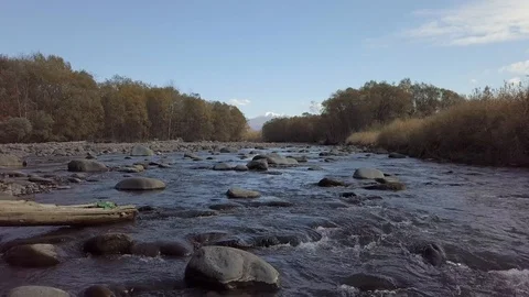 Moving Above River Stock Footage 89463219