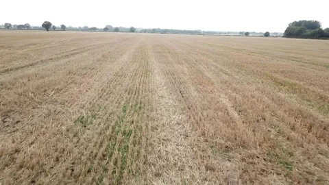 Moving across field at low level Stock Footage 94671484