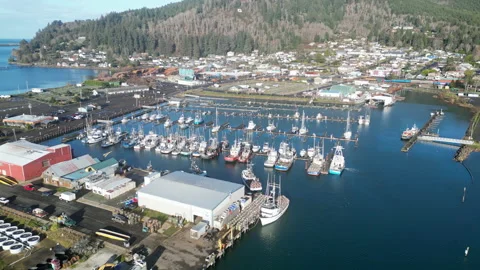 Moving Aerial View of Garibaldi Harbor on a Sunny Morning Stock Footage 228738464