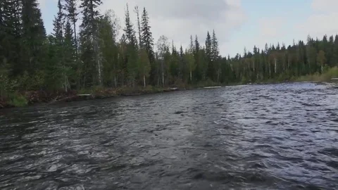 Moving against stream Stock Footage 81662169