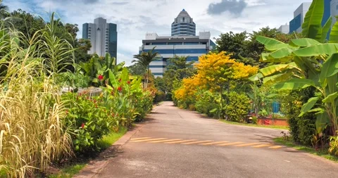 Moving ahead and building view in HortPark Stock Footage 285328580