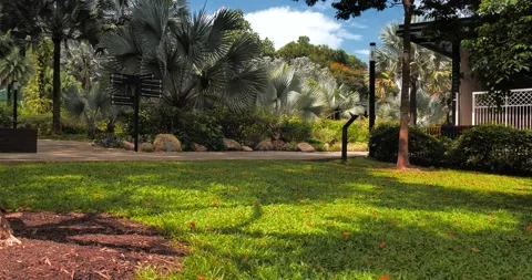 Moving Ahead in Deep Forest Stock Footage 159338022