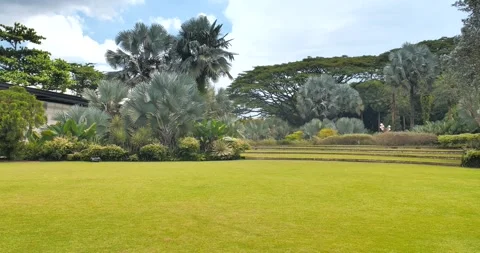 Moving ahead view of HortPark Stock Footage 285328540