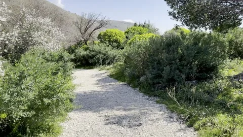 Moving Along a Green Path in Llogara Stock Footage 345961554