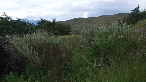 Moving along Ground Towards Waterfall Video stock 100612685