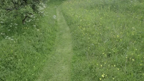 Moving along a mown grass path through a wildlife garden meadow Stock Footage 294935247