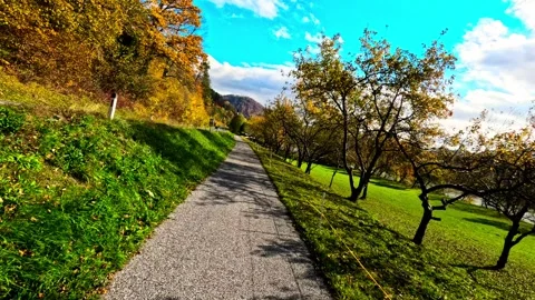Moving along a path with trees Stock Footage 320318745