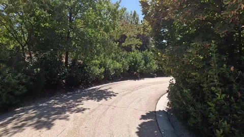 Moving along a paved path surrounded by lush vegetation Stock Footage 296488212