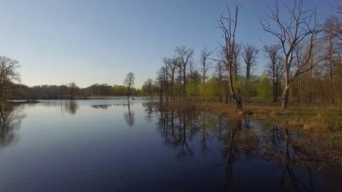 Moving along the river spring POV 4k drone copter shot. Flying low over river 4k Stock Footage 77375637