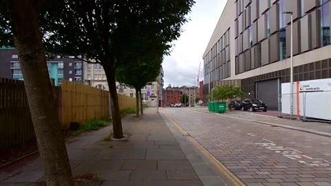 Moving along a street with trees Stock Footage 200262160