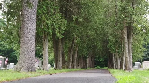 Moving Along Tree Lined Path in Old New England Cemetery 库存影片 139899573