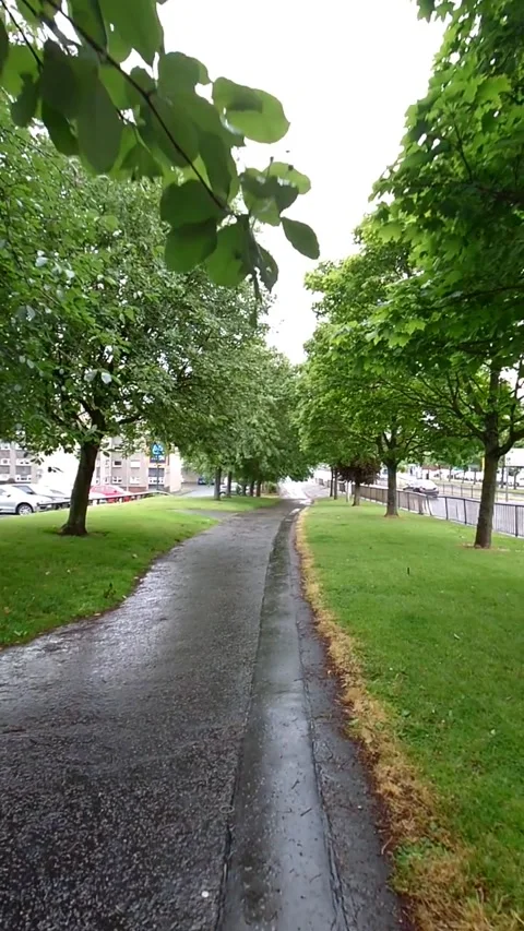 Moving along a tree lined pathway - Vertical Video Stock Footage 200401302