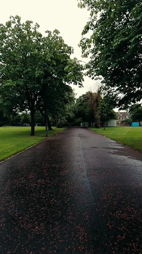 Moving along a wide path with trees on both sides - Vertical Video Video stock 200400952