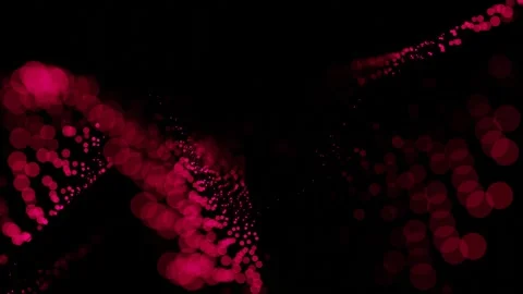 Moving up and down purple red round particles on black background. 3d render. lo Stock Footage 310233144