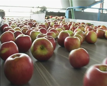 Moving apples Stock Footage 135154