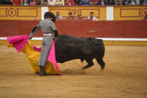 Moving arena Stock Photos